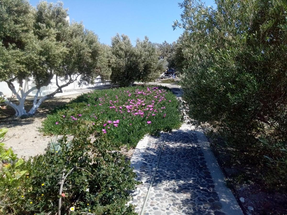 Hotel Perissa Agios Georgios  Eksteriør bilde